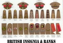 BRITISH INSIGNIA & RANKS