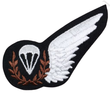 RAF Parachute Jump Instructors Wing