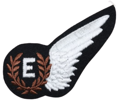 RAF Engineers Wing