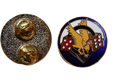 506TH CURRAHEE METAL BADGE DI Pin