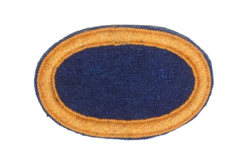 WW2 US 504th P.I.R. PARACHUTE WING OVAL BACKING