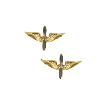 USAAF US Air Force Officers Branch of Service Collar badges