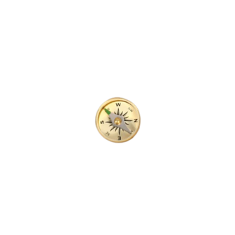 Brass 15mm Button Compass