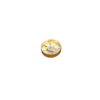 Brass 15mm Button Compass