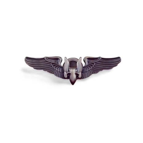 US Army Air Corps and Air Aerial Gunner Wing