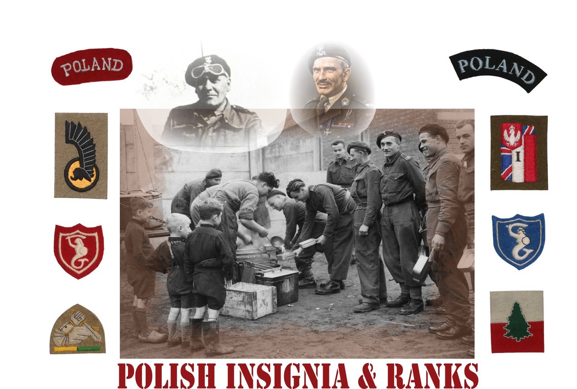 POLISH-INSIGNIA-&-RANKS