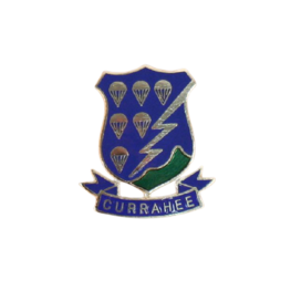 WW2 506th Parachute Infantry Regiment CURRAHEE PIN WW2 506th Parachute Infantry Regiment CURRAHEE PIN