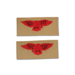 RAF Tropical Sleeve Eagle red on KD