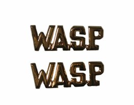 WASP Collar Badges Pair