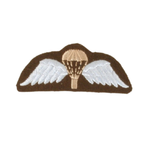 WW2 Airborne Para Wings - Delware Trading BV